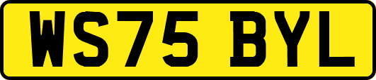 WS75BYL