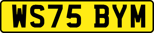 WS75BYM