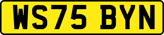 WS75BYN