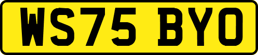 WS75BYO