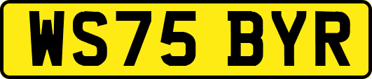 WS75BYR