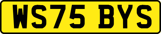 WS75BYS