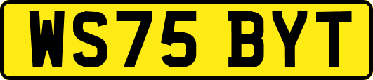 WS75BYT