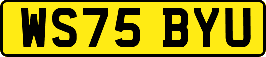WS75BYU