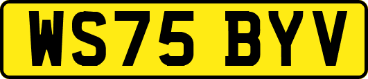 WS75BYV