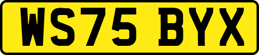 WS75BYX