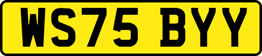 WS75BYY