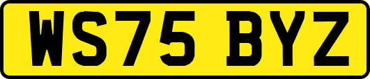 WS75BYZ