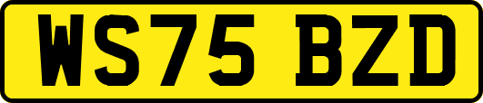 WS75BZD
