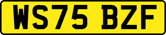 WS75BZF