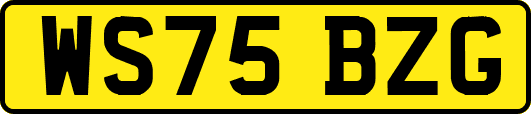 WS75BZG