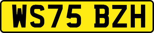 WS75BZH