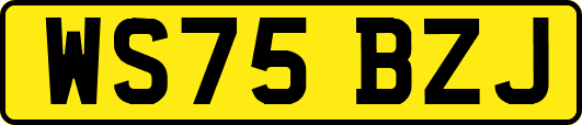 WS75BZJ