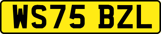WS75BZL