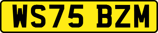 WS75BZM