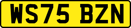 WS75BZN