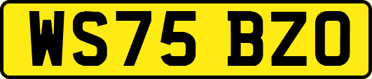 WS75BZO