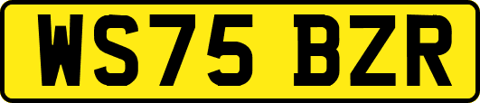 WS75BZR