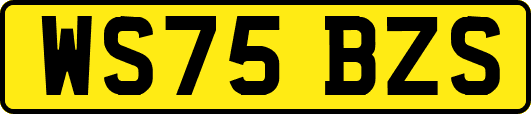 WS75BZS