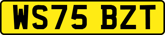 WS75BZT