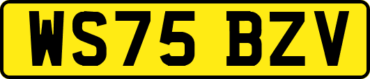 WS75BZV