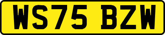 WS75BZW
