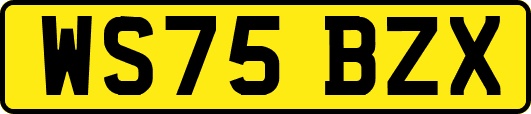 WS75BZX
