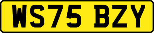 WS75BZY