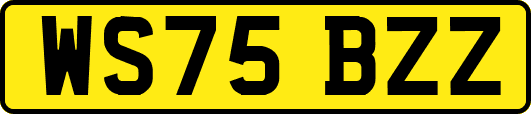 WS75BZZ
