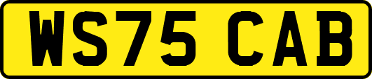 WS75CAB
