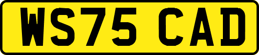 WS75CAD