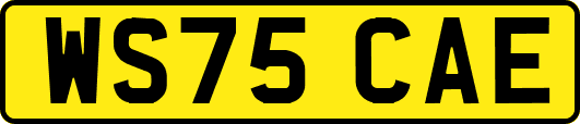 WS75CAE