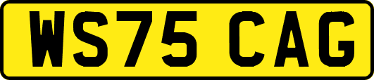 WS75CAG