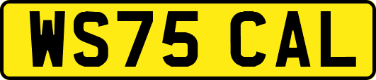 WS75CAL