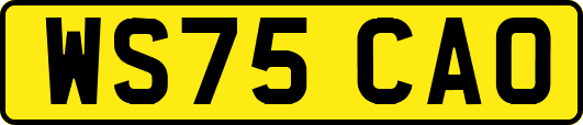 WS75CAO