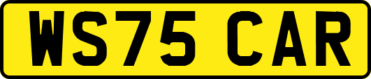 WS75CAR