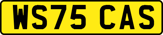 WS75CAS