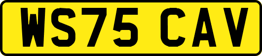 WS75CAV