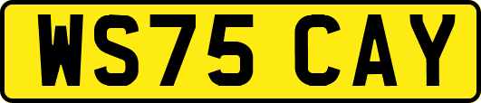 WS75CAY