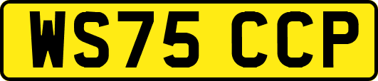 WS75CCP