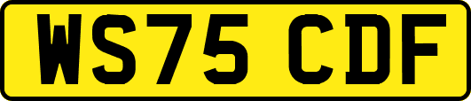 WS75CDF