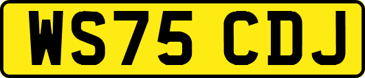 WS75CDJ