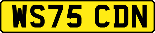 WS75CDN