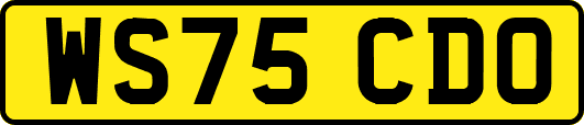 WS75CDO