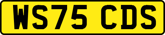 WS75CDS