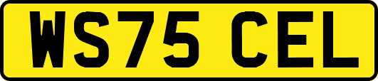 WS75CEL