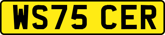 WS75CER