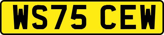 WS75CEW
