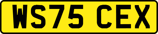 WS75CEX