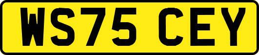 WS75CEY